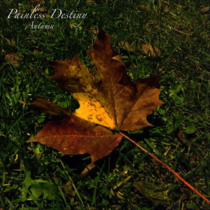 老太婆把腿扒开让我添
